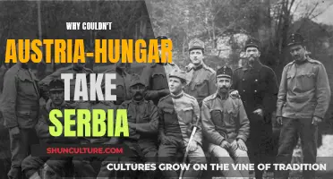 Serbia's Triumph: How Austria-Hungary Failed to Conquer