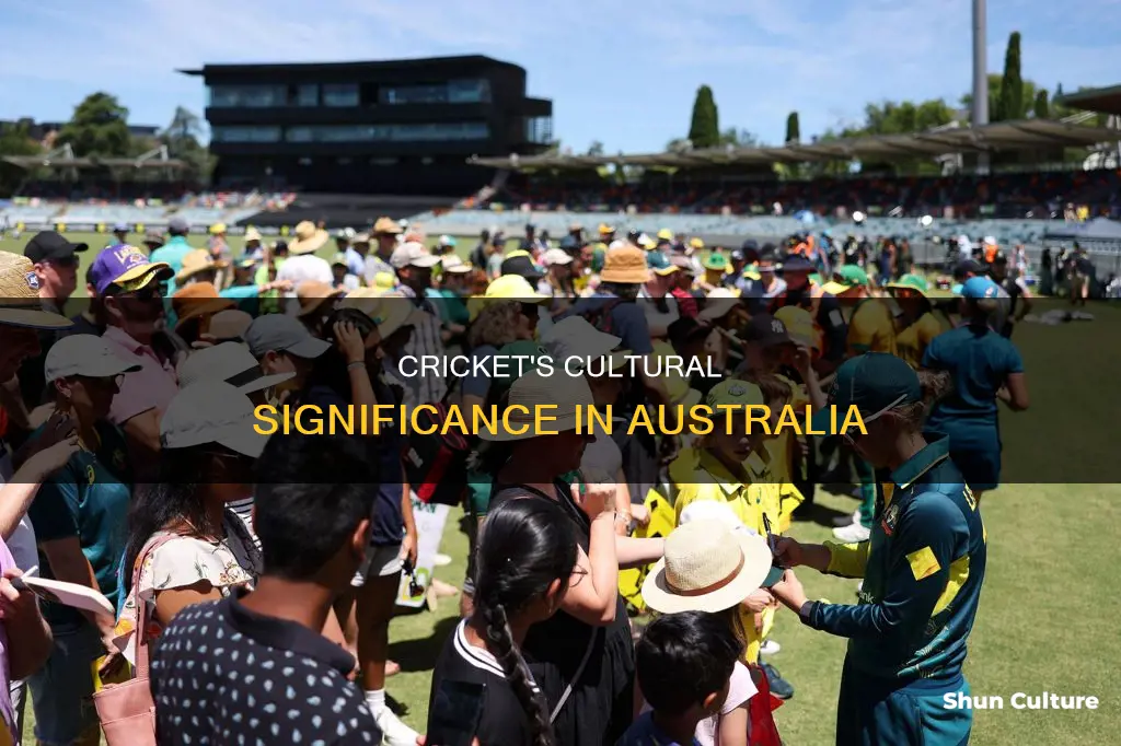 why cricket is so popular in australia