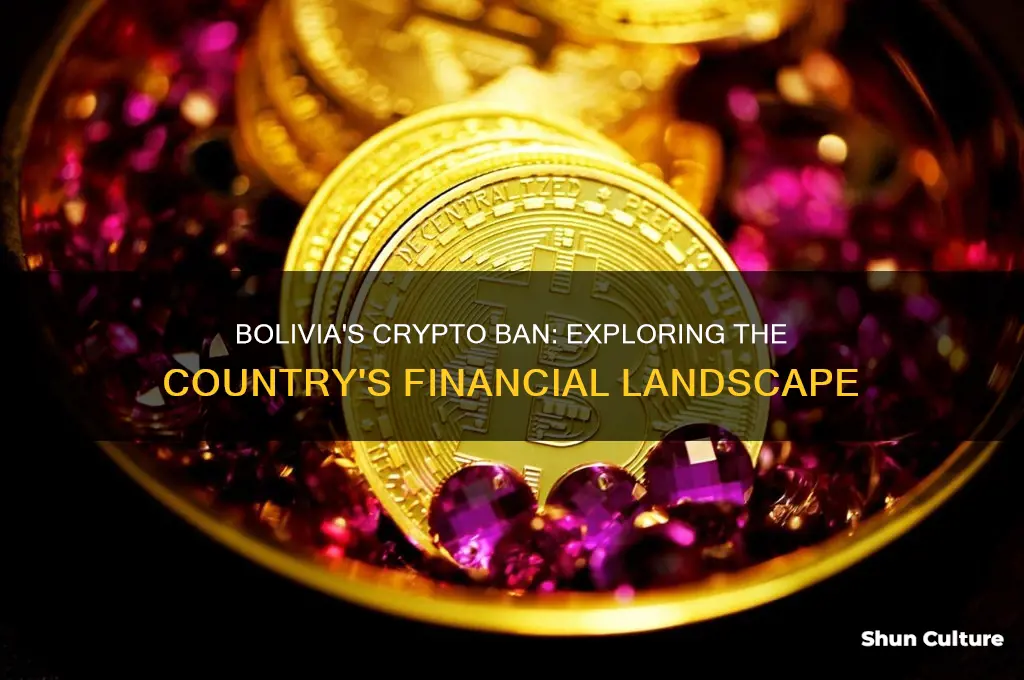 why crypto is banned in bolivia