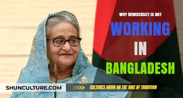 Democracy's Decline: Analyzing Bangladesh's Political and Institutional Failures