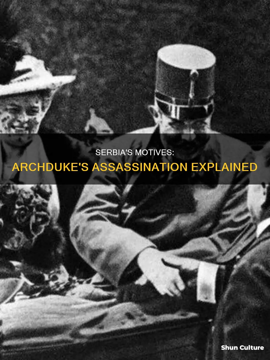 why did a serbian assassinate the archduke of austria hungary