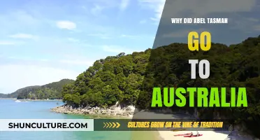 Abel Tasman's Australian Voyage: Uncovering the Explorer's Motivation