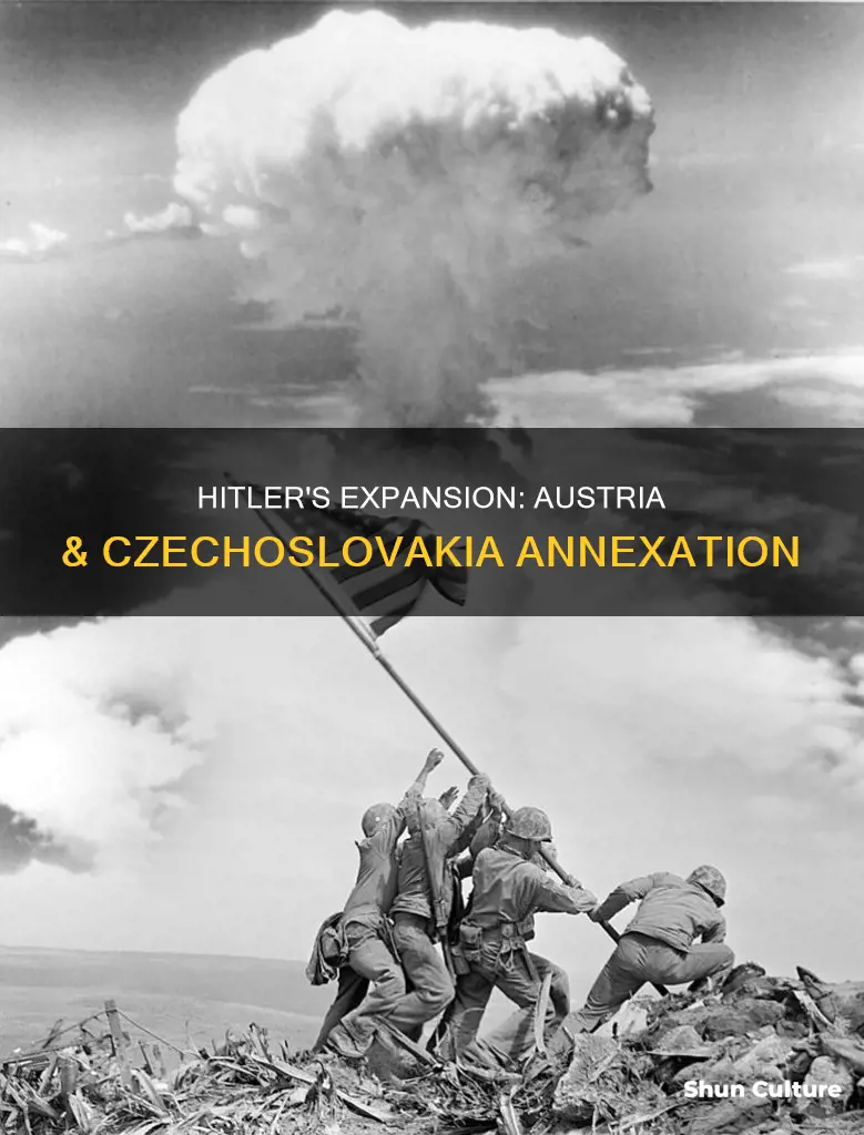 why did adolf hitler take over austria and czechoslovakia