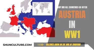 Austria's Actions: Why Nations United Against Them in WW1