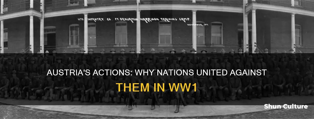 why did all countries go after austria in ww1