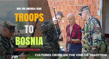 America's Bosnia Intervention: Reasons Behind Troop Deployment in the Balkans