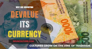 Economic Turmoil: The Reasons Behind Argentina's Currency Devaluation