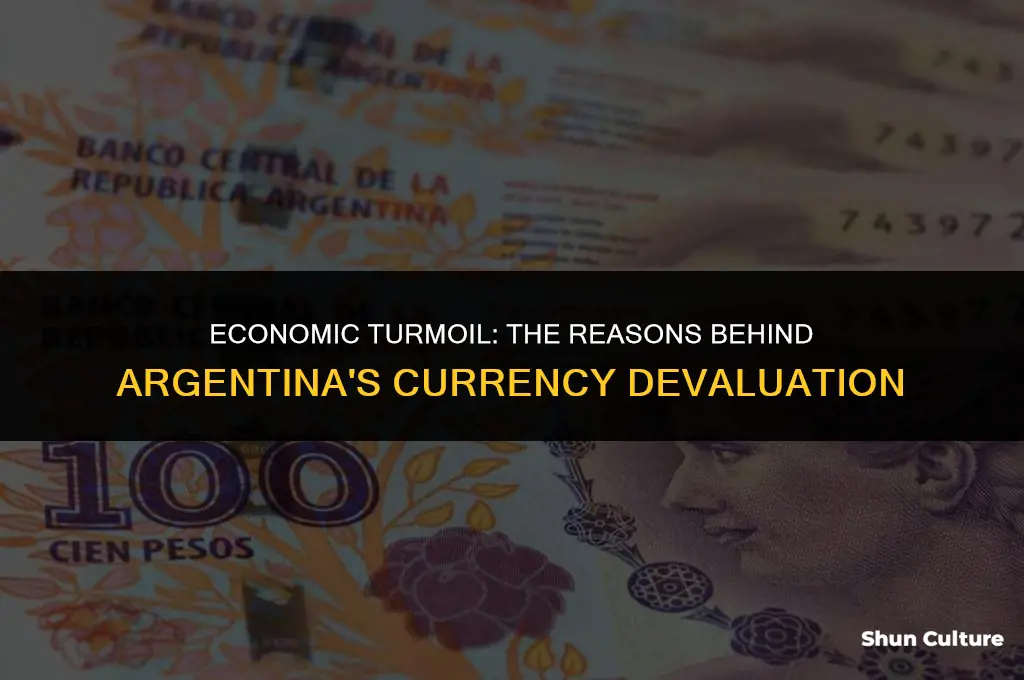 why did argentina devalue its currency