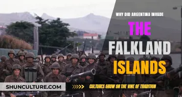 Argentina's Invasion of the Falklands: Historical Context and Motivations
