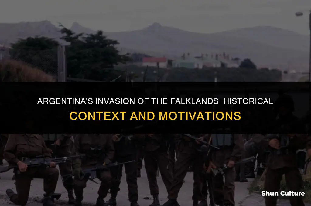 why did argentina invade the falkland islands