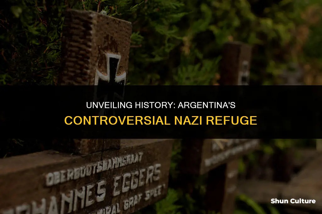 why did argentina let nazis in
