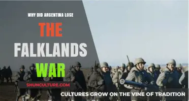Unraveling the Falklands War: Argentina's Defeat Explained