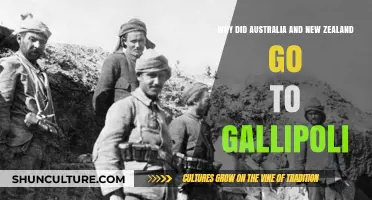 Gallipoli Campaign: Australia and New Zealand's Role and Reasons