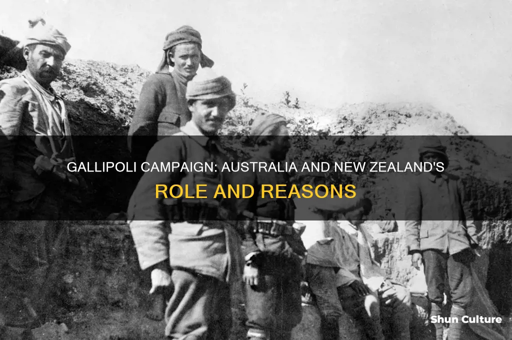 why did australia and new zealand go to gallipoli