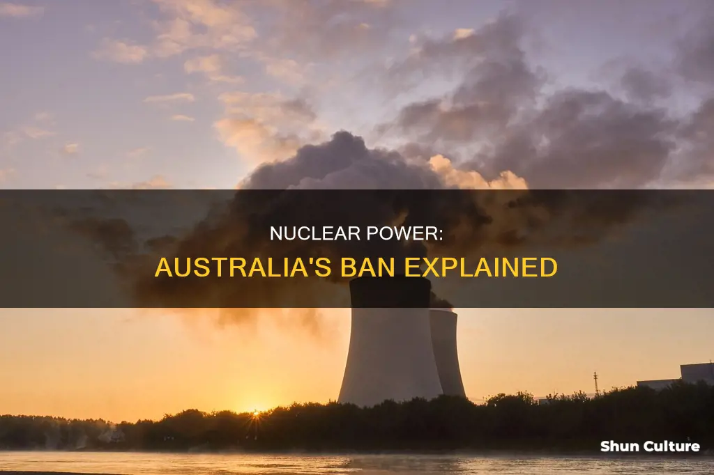 why did australia ban nuclear power
