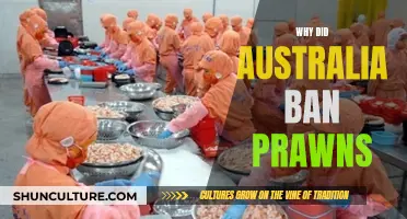 Australia's Prawn Ban: Protecting the Environment and Economy