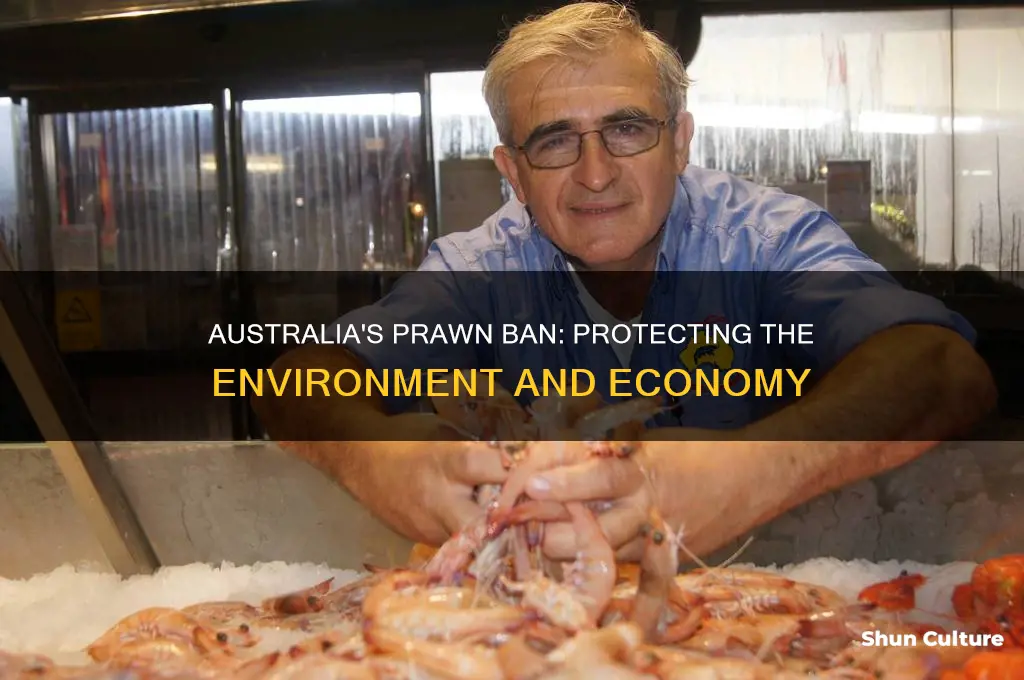 why did australia ban prawns