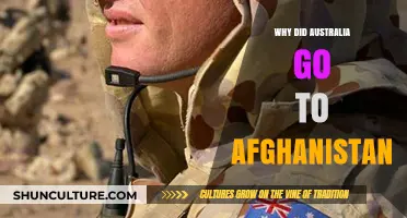 Australia's Afghanistan Deployment: Reasons, Role, and Regional Impact Explored