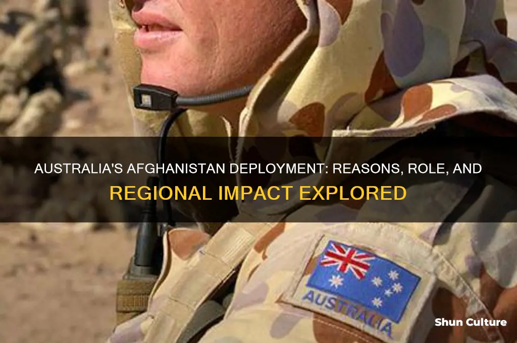 why did australia go to afghanistan