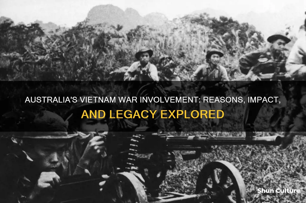 why did australia go to fight in the vietnam war