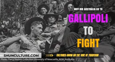 Australia's Gallipoli Campaign: Unraveling the Reasons Behind the Fight