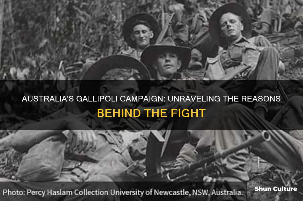 why did australia go to gallipoli to fight