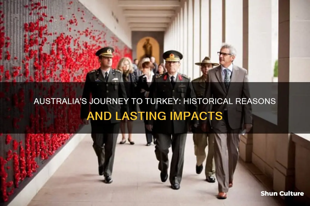 why did australia go to turkey
