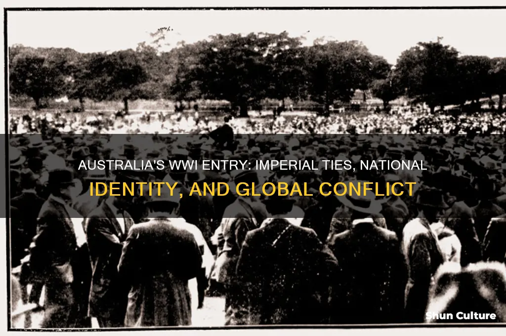 why did australia go to war in ww1
