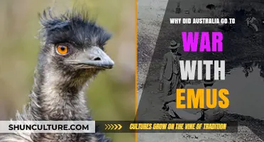 Australia's Emu War: The Bizarre Battle Against Flightless Foes