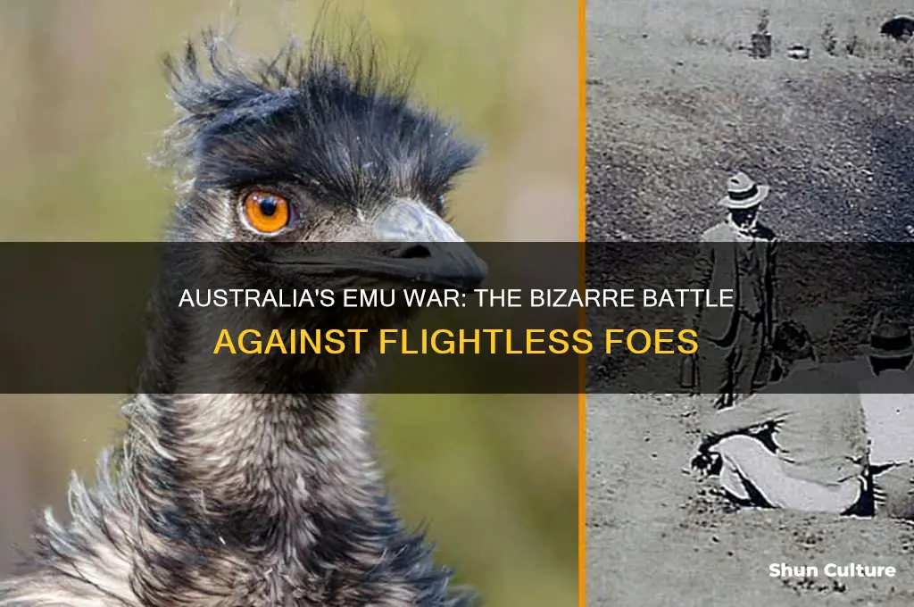 why did australia go to war with emus