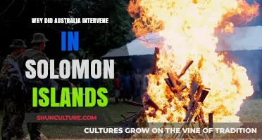 Australia's Solomon Islands Intervention: Understanding the Why