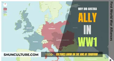Austria's Alliance: A Complex World War I Strategy