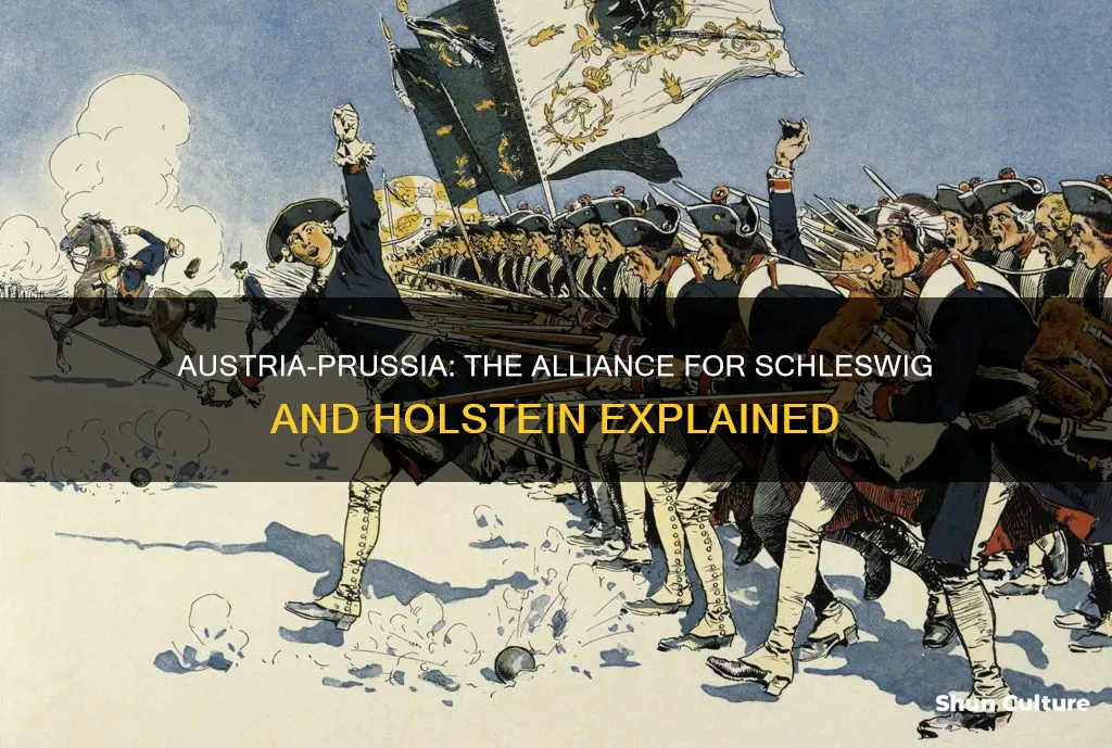 why did austria ally with prussia for shleswig and holestein