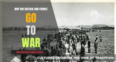 France-Austria War: Reasons and Origins Explored