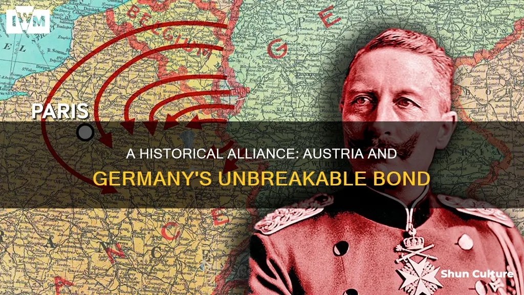 why did austria and germany form an alliance