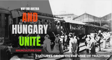 A United Austria-Hungary: Historical Unity and Modern Significance