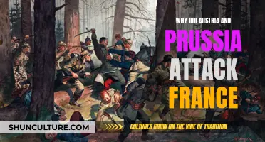 The Franco-Prussian War: Austria's Strategic Alliance with Prussia