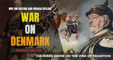 Prussia and Austria's War on Denmark: Why?
