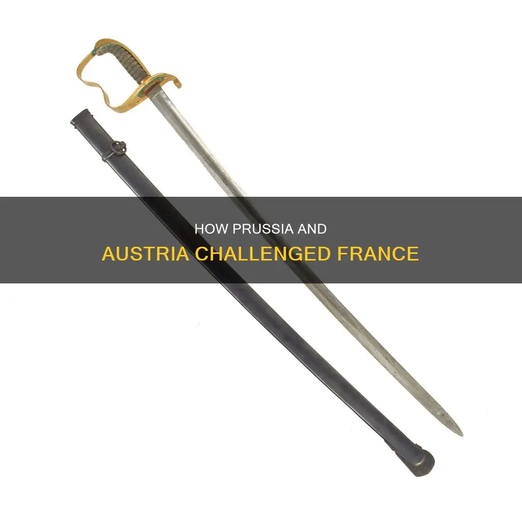 why did austria and prussia declare war on france