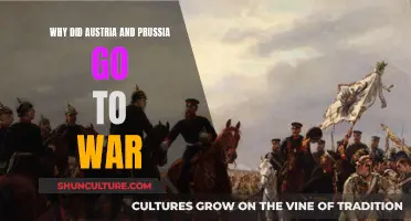 Prussia-Austria War: Why Did It Happen?