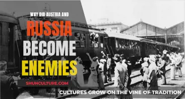How Austria-Russia Relations Degenerated into Hostility