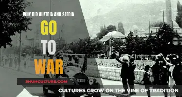 The Balkan Conflict: Austria-Serbia War Origins