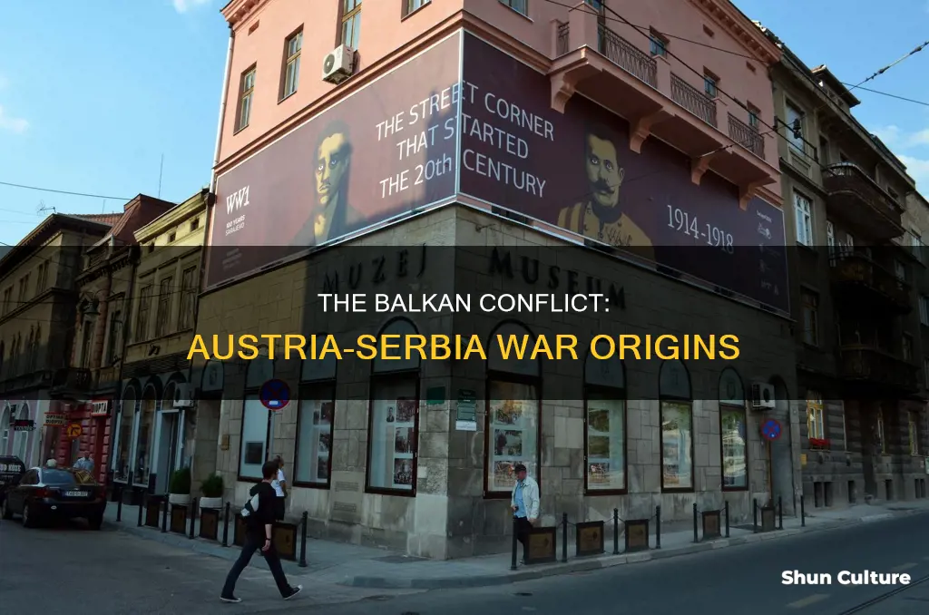 why did austria and serbia go to war