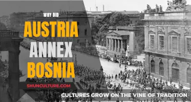 Austria's Bosnian Annexation: A Historical Overview