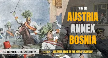 Austria's Annexation of Bosnia: Understanding Imperial Ambitions