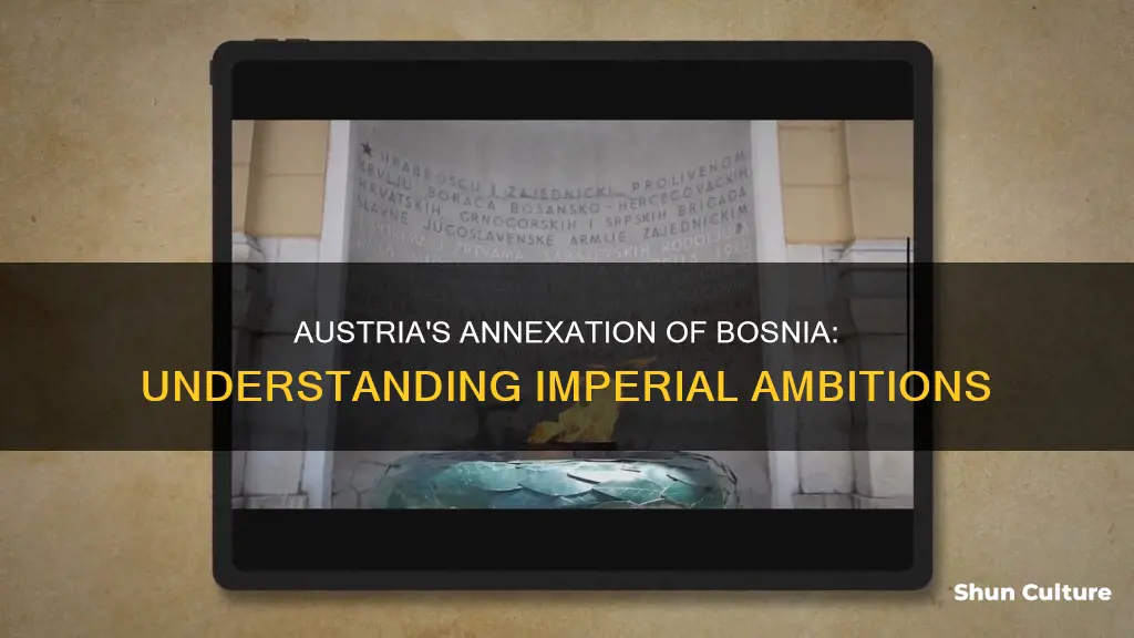 why did austria annex bosnia