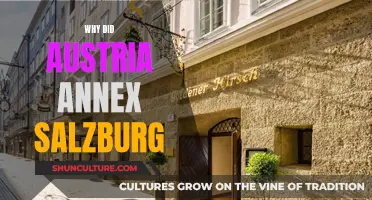 Austria's Annexation of Salzburg: Understanding the Motives
