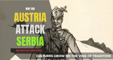 Austria's Aggression: The Serbian Spark that Ignited WWI