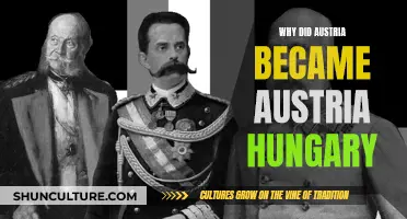 Austria-Hungary: A Political Marriage of Convenience