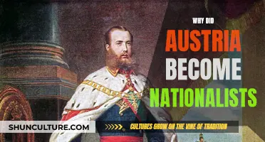 A Nation's Awakening: Austria's Journey to National Identity